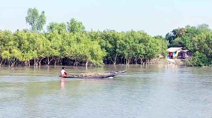 মুক্তিপণের জন্য সুন্দরবনে ফের জেলে অপহরণ - আতঙ্কে বনজীবীরা